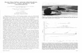 Ross Sea killer whale distribution, behavior, color pattern, and … · 2011-05-06 · Ross Sea killer whale distribution, behavior, color pattern, and vocalizations J. A. THOMAS,