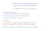Fermi surface symmetry breaking and Fermi surface ... corpes05/Presentations/Metzner-WS.pdf¢  Fermi
