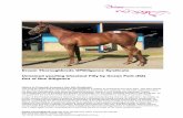 Dream Thoroughbreds OPDiligence Syndicate …...Dream Thoroughbreds OPDiligence Syndicate Yearling Chestnut Filly By Ocean Park (NZ) out of Due Diligence Page 4 of 17 Pedigree Description