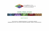 THE BIG FIVE - San Mateo County Community College District Big Five Community... · 2019-02-04 · IMMEDIATE ACTION RESPONSE: THE BIG FIVE An Immediate Action Response is a protocol