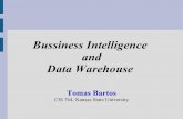 Bussiness Intelligence and Data hankley/d764/Slides07/Bartos_BI-DWwo... Oracle BI Suite Enterprise Edition