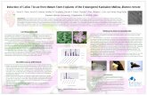 Induction of Callus Tissue from Mature Stem Explants of ... · BIO 5232 Plant Cell & Tissue CultureBIO 5232 Plant Cell & Tissue Culture Treatment 2 and 6 had the lowest amount of