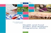 Health and Food Audits and Analysis Programme 2020 · 2020-02-03 · Report on the Audit Programme 2018 43 4.1. Audits in the areas of food safety and quality, animal health and welfare,