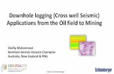 Downhole logging (Cross well Seismic) Applications from ... · Downhole logging (Cross well Seismic) Applications from the Oil field to Mining * Mark of Schlumberger ... Surface Crosswell
