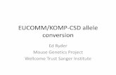 EUCOMM/KOMP-CSD allele conversion - INFRAFRONTIER · 2016-09-21 · Assay F primer R primer Size (bp) Cre Cre_F Cre_R 233 Flox Floxed PNF Floxed LR variable Tm1b Tm1b_prom_F Floxed