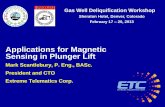 Applications for Magnetic Sensing in Plunger Lift · 2013-02-24 · Gas Well Deliquification Workshop Sheraton Hotel, Denver, Colorado February 17 – 20, 2013 Mark Scantlebury, P.