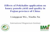 Effects of Polyhalite application on honey pomelo yield ... · Effects of Polyhalite application on honey pomelo yield and quality in Fujian province of China Liangquan Wu , Xiuzhu