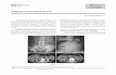 THAI J ASTROENTEROL Imaging of the Small Bowel X-ray 2015 … · 2015-05-29 · THAI J GASTROENTEROL 2015 42 Imaging of the Small Bowel Imaging of the Small Bowel Pantongrag-Brown