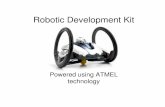 Robonii Dev Kit overview - AVR Freaks · 2013-11-07 · and an LCD with 64 segments to display state information. ... – AVR- ATxMega (8-bit MCU) – AVR- ATtiny. Technology Overview