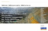 Weir Minerals México...Weir Minerals Division Excellent Minerals Solutions Weir Minerals México MINERA MEXICO S.A. DE C.V. Manual Bomba Galigher Mod. 2SR25360YY No. Pedido: 110030-