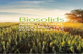 Biosolids · No biosolids (control) Biosolids Biosolids is the term used to describe treated sewage sludge which is recycled to agricultural land (common practice for decades in the
