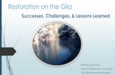 Successes, Challenges, & Lessons Learned ... Successes, Challenges, & Lessons Learned Overview Introduction