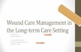 Wound Care Management in the Long -term Care …...Wound Care Management in the Long-term Care Setting Kris Gaumer DO Sparrow Health System Lisa Fears, LPN, WCC, COM PACE Clinical