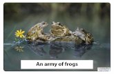 An army of frogs - Teaching IdeasTitle: Collective Nouns Posters Author: Mark and Helen Warner Subject: Teaching Ideas () Keywords Created Date