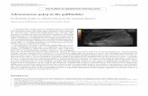 Adenomatous polyp in the gallbladder - ISCIIIscielo.isciii.es/pdf/diges/v96n8/imagenes.pdfel manejo clínico de los pacientes en quienes se ha producido el hallazgo casual ecográfico