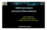 BDM Dark Matter (solving CDM problems) · 2012-06-25 · Evolution of gauge coupling constanta vs Energy SU(3) Strong Interaction SU(N) Dark Matter SU(2) Weak Interaction SU(1) E.M.