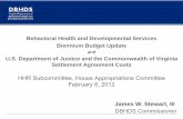 Behavioral Health and Developmental Services Biennium ...hac.virginia.gov/.../files/02-06-12/DBHDS.pdf · Behavioral Health and Developmental Services Children’s MH Services Report