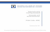 Apprenticeship Training Standard Domestic and Rural ... · Apprenticeship Training Standard Domestic and Rural Electrician Trade Code: 309C Development Date: 2003 This document is