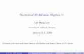 Numerical Multilinear Algebra IIIlekheng/work/icm3.pdfNumerical Multilinear Algebra III Lek-Heng Lim University of California, Berkeley January 5{7, 2009 (Contains joint work with