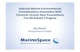 Selected Marine Environmental Considerations Associated With …marine.gov.scot/datafiles/misc/MREP/10/Documents/Deep... · 2016-10-21 · Foundation Seabed Footprint - Physical Foundation