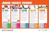 JUNIOR CRICKET PATHWAY - helenavalley.wa.edu.auhelenavalley.wa.edu.au/.../2016/04/Darlington-Play-Cricket-Flyer.pdf · Learn new skills including catching, throwing and teamwork Make
