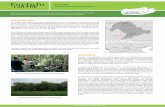 ForInfo FACTSHEET LAO PDR Teak Smallholder Plantations · away from access roads but which have a high potential for teak are not utilized. In Bokeo, ForInfo and its partners are