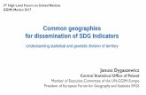 Common geographies for dissemination of SDG Indicatorsggim.un.org/meetings/2017-Mexico/documents/Session... · a quality of spatial data and metadata Implementation of “The 10 level