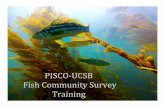 PISCO‐UCSB Fish Community Survey Training · Objectives of PISCO •A long‐term, large scale‐ecological study of patterns and processes •An unprecedented interdisciplinary