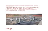 SECUNDA SYNFUELS OPERATIONS: POWERSTATION - STEAM ... · 1. The project entails the 100MW gas turbines, and not 100MV as indicated on page 2 of the Authorisation ... ENVIRONMENTAL