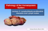 Pathology of the Hematopoietic Systempeople.upei.ca/eaburto/Hemat-L2/Hemat-L2-14.pdfMyelophthisis •Fibrosis → Myelofibrosis •Neoplastic cells → leukemia, lymphoma, histiocytic