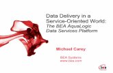 Data Delivery in a Service-Oriented World · Data Delivery in a Service-Oriented World: The BEA AquaLogic Data Services Platform Michael Carey ... Evolution of SOA Data Access Coding