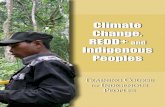 Climate Change, REDD+ and Indigenous Peoples · Training Course for Indigenous Peoples 1 F or many developing countries, especially the poorest among and within them, climate change