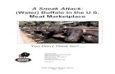 A Sneak Attack - National Bison Association · 2019-08-28 · choline chloride, dried chicory root, tomatoes, blueberries, raspberries, ... Water Buffalo in the U.S. Market Page 7