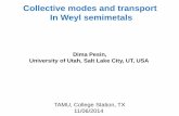 Collective modes and transport In Weyl semimetalscm.physics.tamu.edu/cmseminars/cm_talks/2014_11_07.pdfCollective modes and transport In Weyl semimetals Dima Pesin, University of Utah,