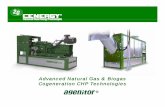 Advanced Natural Gas & Biogas Cogeneration CHP …The FactoryThe Factory 2G Bio-Energy Technologies Corporation (2G Bio-Energietechnik AG) is a leading German Manufacturer of CHP Energy