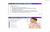 Ch. 11: Respiratory Physiologypeople.fmarion.edu/tbarbeau/Tam236.Ch11.Respiration Online part 1.pdfReview respiratory anatomy. 2. Understand mechanics of breathing, gas pressure vocabulary,