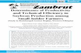 Determinants of Productivity and Technical Efficiency in ...€¦ · targeting optimum production and identifying inefficiency in soybean production that helps small-holder farmers