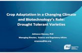 Crop Adaptation in a Changing Climate Biotechnology’s Role ... · Crop Adaptation in a Changing Climate and Biotechnology’s Role: Drought Tolerant Varieties Adrianne Massey, PhD