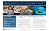 SCRIPPS INSTITUTION OF OCEANOGRAPHY AT UC SAN DIEGO ... · SCRIPPS INSTITUTION OF OCEANOGRAPHY AT UC SAN DIEGO 1011-234 Center for Marine Biotechnology and Biomedicine at Scripps