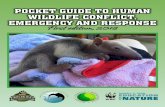 POCKET GUIDE TO HUMAN WILDLIFE CONFLICT, EMERGENCY … · Wildlife is attracted to man-built structures because they provide nesting space and garbage or other debris provides ...