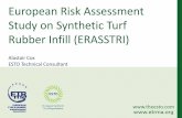 European Risk Assessment Study on Synthetic Turf …...•ETRMA contributed to ECHA´s report with sharing data of rubber crumb uses, composition and market. Sept 2017: ECHA - NL´s