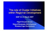 The role of Cluster Initiatives within Regional Development · The role of Cluster Initiatives within Regional Development M4P 12-14 March 2007 Nigel Gwynne-Evans Dep.of Economic