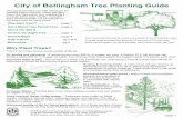 Tree Planting Guide - City of Bellingham, WA · 2015-11-03 · Planting trees is an investment in the quality Why Plant Trees? Trees in an urban area increase quality of life by: