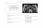 Sectional Anatomy Pelvis Practice Problems · 2018-12-02 · Sectional Anatomy Pelvis Practice Problems Page 2 6. Which of the following is illustrated by #6? (Fig. 4-18) A) right