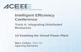 Intelligent Efficiency Conference - ACEEE · – San Diego Gas & Electric awarded $28 million in SGIG / ARRA funds; Sacramento Municipal Utility ... Intelligent Efficiency Conference