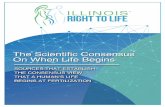 Table of Contents - Illinois Right to Life...3 o Definition of “Zygote” in Before We Are Born: Essentials of Embryology and Birth Defects5 6. "Embryo: The early developing fertilized