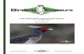NORTHERN INDIA: CUSTOM TRIP REPORT · 2019-05-24 · 5 T R I P R E P O R T| Northern India: April 2019 info@birdingecotours.com Cinammon Bittern was a new species for all of us! Day