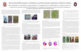 Mitochondrial DNA Variation in Old Believer and Ethnic Russian …tgschurr/lectures/OB-Russian... · 2004-11-11 · those of the East Slavs, the ethnic group that evolved into the