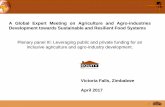 A Global Expert Meeting on Agriculture and Agro-industries ... · 1 A Global Expert Meeting on Agriculture and Agro-industries Development towards Sustainable and Resilient Food Systems