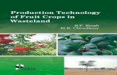 Production Technology ofWastelands can be brought under vegetative cover with ... importance, soil and climatic conditions, propagation techniques, varieties, cultivation practices,